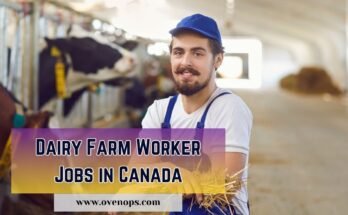 Dairy Farm Worker Jobs in Canada
