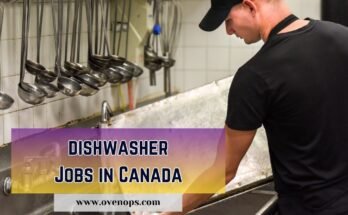 Dishwasher Jobs in Canada