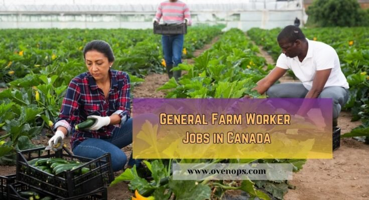 General Farm Worker Jobs in Canada