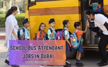 Bus Attendant Jobs in Dubai