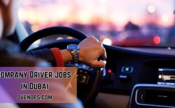 Driver Jobs in Dubai