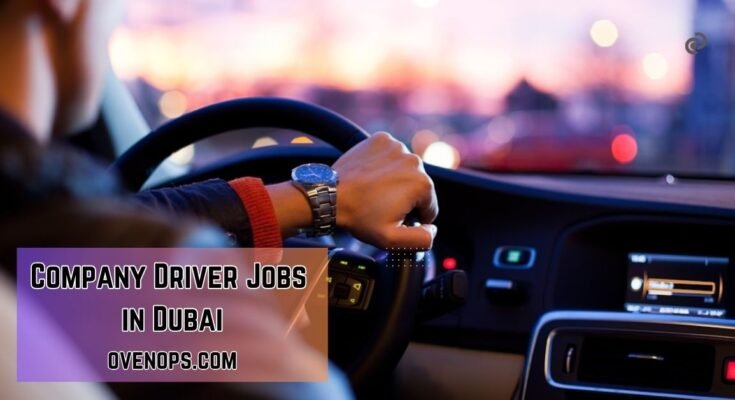 Driver Jobs in Dubai